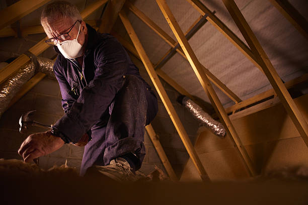 Best Commercial Insulation in Elko New Market, MN